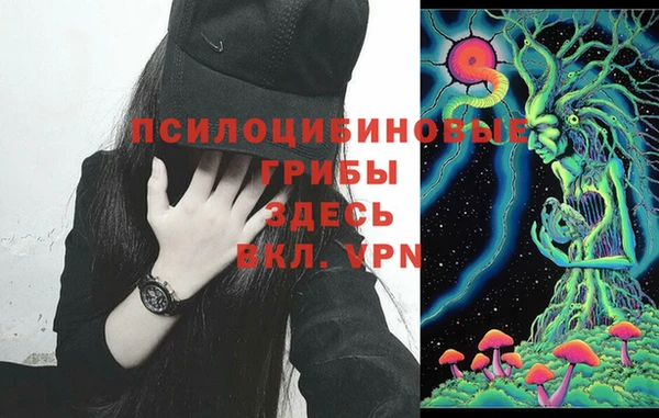 стаф Арсеньев